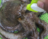 釣り生のマダコの茹で方(タコの下処理)作り方1写真