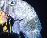 レシピ1作り方1写真