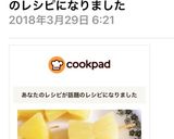 パイナップルでリボン作り方9写真