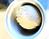 豆乳と甘酒のアイスクリーム作り方3写真
