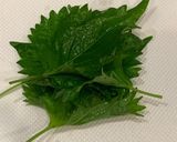 超簡単 ご飯がすすむ紫蘇の出汁漬け作り方1写真