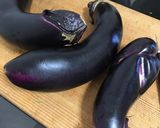 野菜細工精霊馬マーラ様作り方13写真