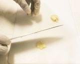 ボンゴレロッソ(アサリ、トマトのパスタ)作り方1写真