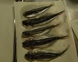 イワシのから揚げ作り方2写真