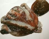 釣りたてタコの下処理|ぬめり取りの基本作り方1写真