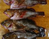 ホゴ(カサゴ)の煮付け作り方1写真