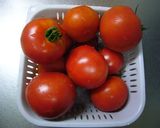 熟成＊トマトジュース覚書作り方1写真
