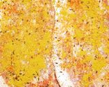 カレー伝導師！肉マニア悪魔のポークソテー作り方6写真