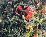 しその佃煮~しそジュースのリメイク~作り方3写真