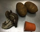 ポリ袋で・じゃがいものきんぴら作り方1写真