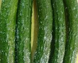 白だしで簡単！キュウリの漬け物作り方1写真