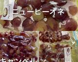 皮剥いてレモン汁とグラニュー糖冷凍作り方3写真