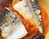 塩鯖と夏野菜フレッシュトマトレンジ煮作り方13写真