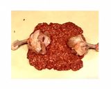 簡単☆まんが肉作り方3写真
