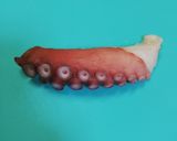 [オススメ]タコの刺身の食べ方作り方1写真