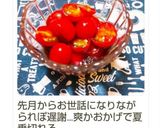 漬け込みトマト作り方8写真