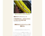 茹で“とうもろこし”のキレイなむき方作り方6写真