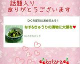 なす&きゅうりの漬物に大葉を❤ 作り方12写真