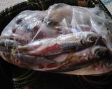 小アジ(生食用)作り方5写真