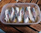 小アジ(生食用)作り方7写真