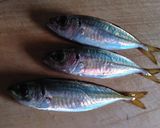うるめ酢作り方8写真
