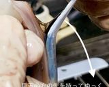 スルメイカの捌き方(刺身編)作り方8写真