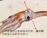 スルメイカの捌き方(刺身編)作り方9写真
