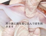 スルメイカの捌き方(刺身編)作り方14写真