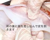 ヤリイカ、ケンサキイカ、シロイカの捌き方作り方12写真