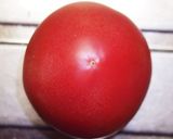 モッツァレラチーズとトマトのマリネタワー作り方2写真