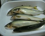 鮎の一夜干し作り方1写真