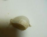 にんにく醤油作り方1写真