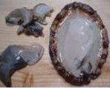 あわびのお刺身:よか魚作り方1写真