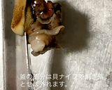 サザエの捌き方&刺身の作り方作り方8写真