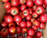 トマト大量消費、煮込みミートソース♪作り方1写真