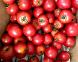 トマト大量消費、煮込みミートソース♪作り方1写真