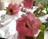身近な花で作る宝石〜お花の砂糖漬け作り方5写真