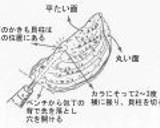 若牡蠣の開き方と酢牡蠣　(よか魚)作り方1写真