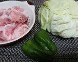 食欲ＵＰ間違いなし！【回鍋肉カレー風味】作り方1写真
