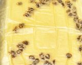 大量の美味しいスフレチーズケーキ作り方19写真
