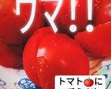 美♥️キラキラ✨はちみつレモントマト作り方1写真