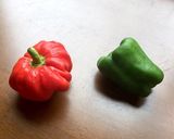 鶏のグリル 地中海風作り方7写真