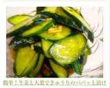 簡単！生姜と大葉できゅうりのパパッと漬け作り方5写真