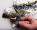 鯵のたたき風薬味和え作り方1写真