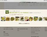 箸が止まりませ～ん♪ゴーヤの天ぷら作り方8写真