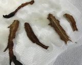 ゴンズイの骨せんべい！！！作り方6写真