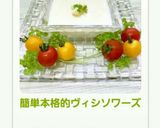 簡単本格的ヴィシソワーズ作り方11写真