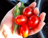 トマトとオクラのスープ作り方1写真