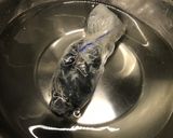 ムール貝の冷凍保存→マルニエール調理方法作り方20写真