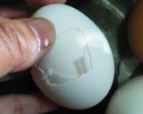 放置で驚きツルん✨クラクラ茹で卵作り方9写真